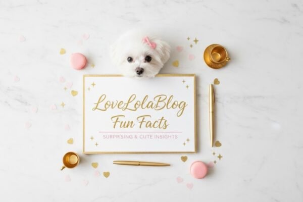 LoveLolaBlog Fun Facts