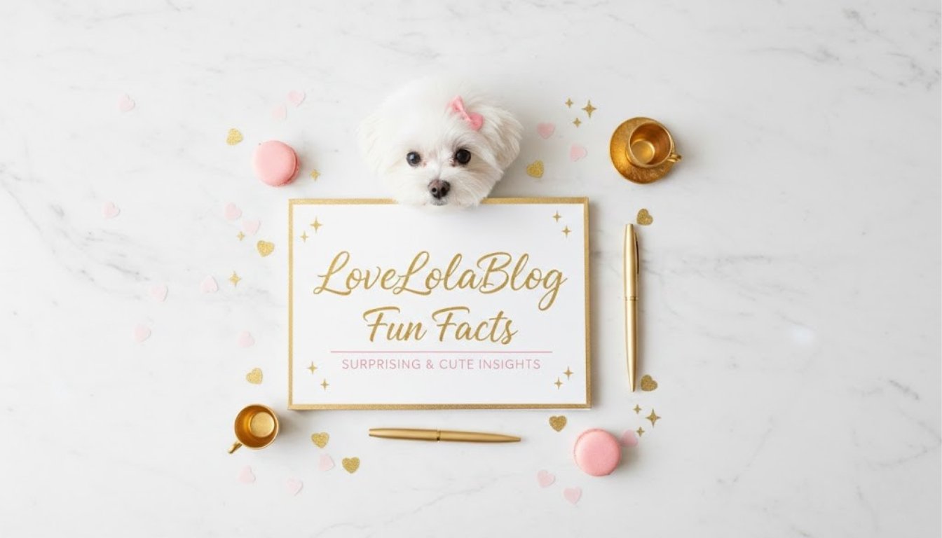 LoveLolaBlog Fun Facts